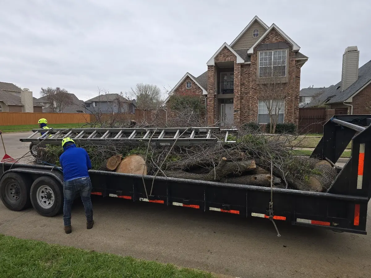 Expert Tree Removal with proper safety equipment in Weber City